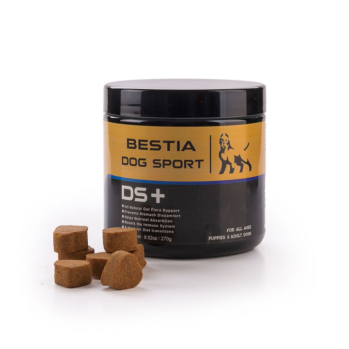 BDS Digestive Support Probiotic Chews for Dogs