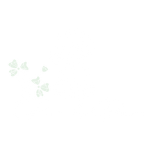 Paws & Bloom