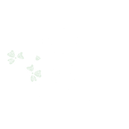 Paws & Bloom