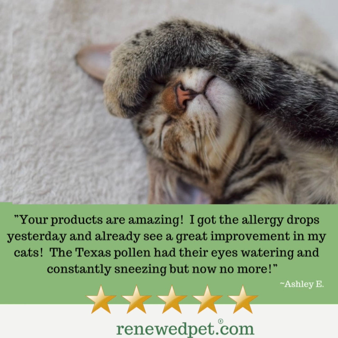 Allergy Health / Allergy-Free Remedy