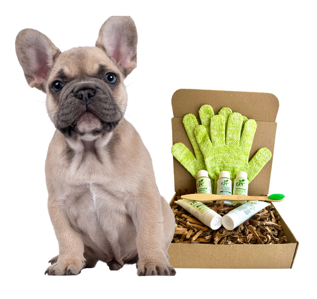 4-Furry Dogs Grooming Kit