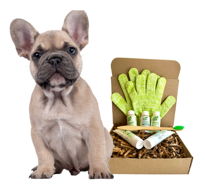 4-Furry Dogs Grooming Kit