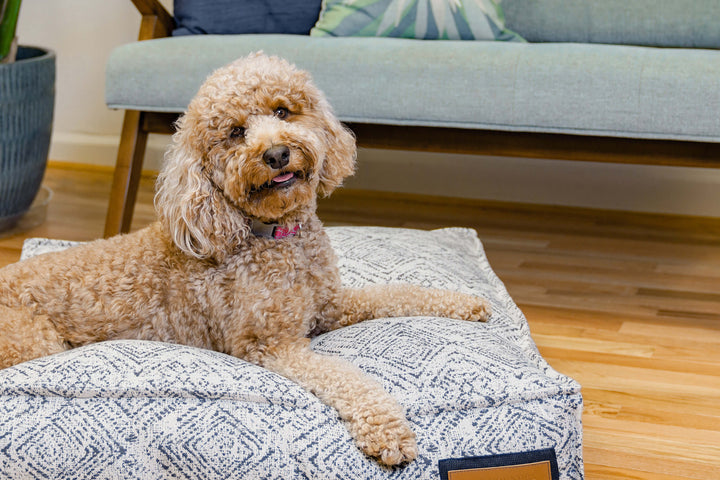 Lounger Bed in Sapphire Spaniel