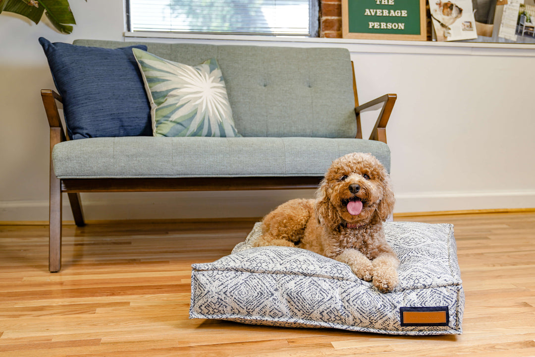 Lounger Bed in Sapphire Spaniel