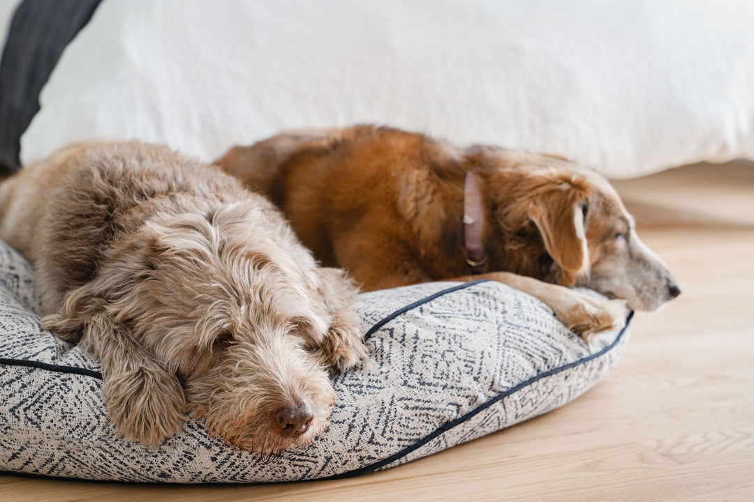 Round Bed in Sapphire Spaniel