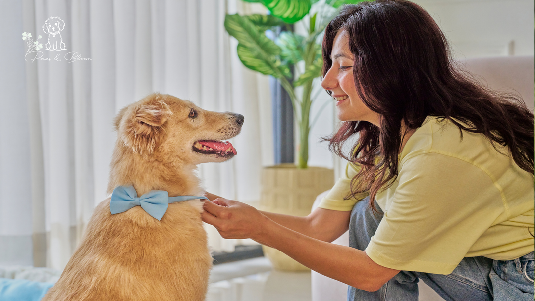 Pet Parenting for Gen Z: What’s Different