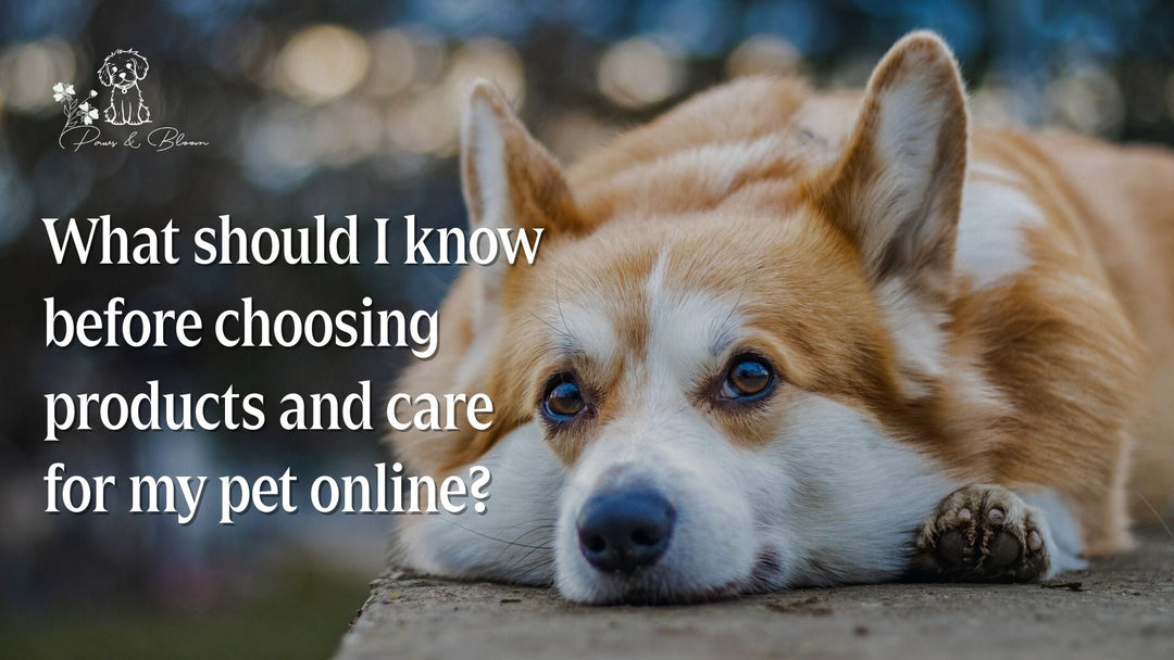 What should I know before choosing products and care for my pet online?
