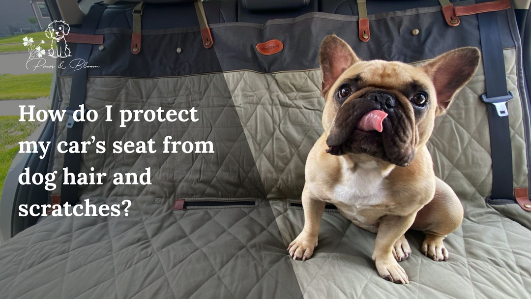 How do I protect my car’s seat from dog hair and scratches?