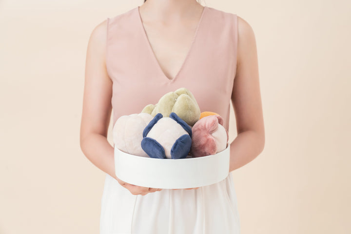 Paradise Pet Toy - Anemone