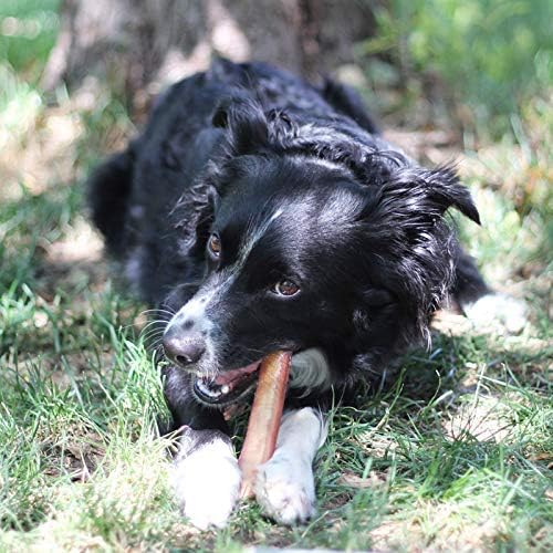 Grass-Fed Beef Bully Stick Bites - Natural Dog Chews