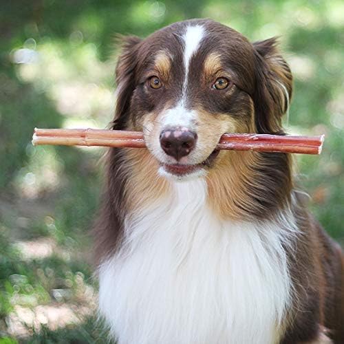 Grass-Fed Beef Bully Stick Bites - Natural Dog Chews
