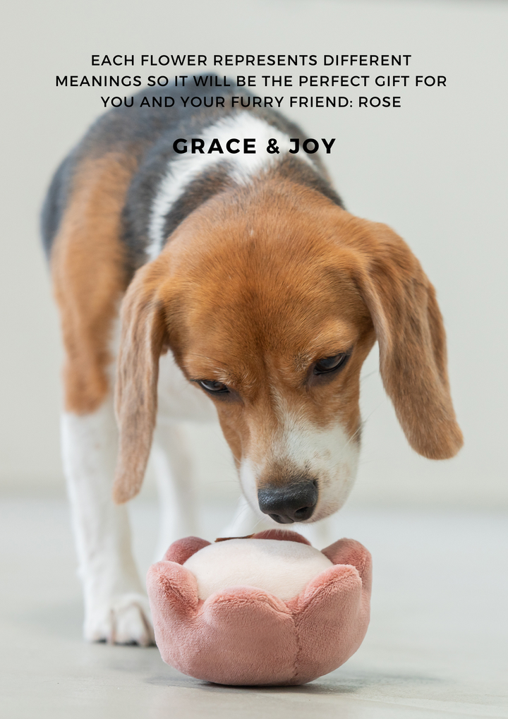 Paradise Pet Toy - Rose
