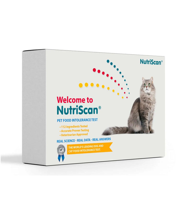 CAT FOOD ALLERGY / SENSITIVITY TEST!
