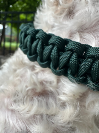Cobra Braid in Emerald Green - Handmade Dog Collar