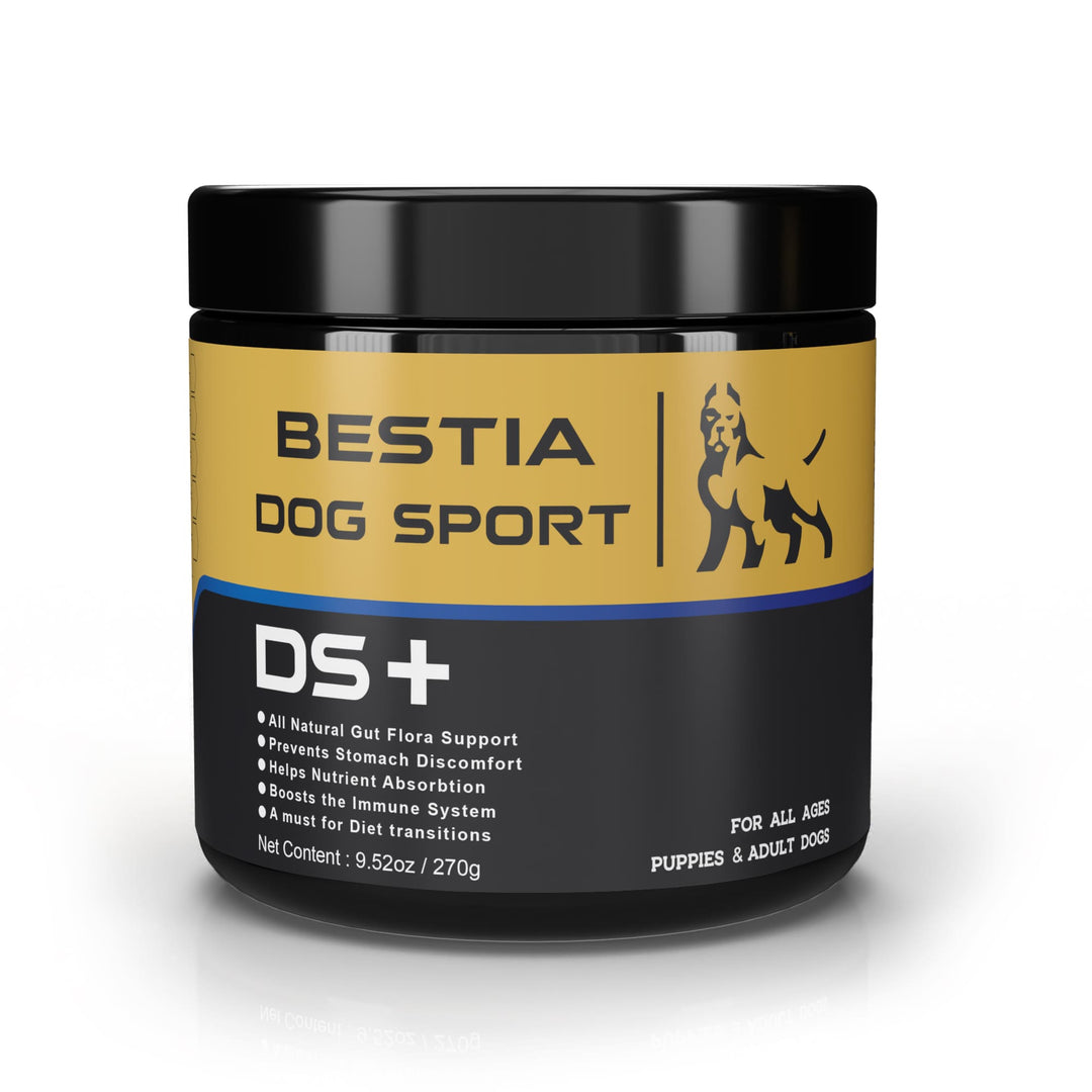 BDS Digestive Support Probiotic Chews for Dogs