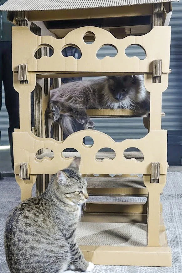 Feline Chateau Eco Multi-Level Cat House
