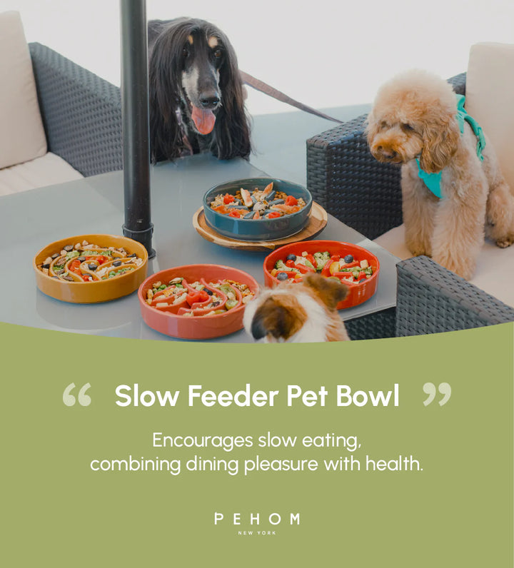 [Spark] Slow Feeder Dog Bowls - Red / Green / Blue