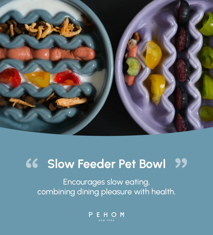 [Macaroni] Slow Feeder Dog Bowls - Yellow / Frozen Blue / Purple