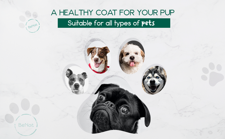BeNat Pets Oat Shampoo Bar - 4.8oz All-Natural Pet Cleanser