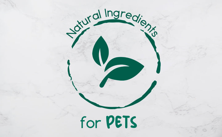 BeNat Pets Oat Shampoo Bar - 4.8oz All-Natural Pet Cleanser