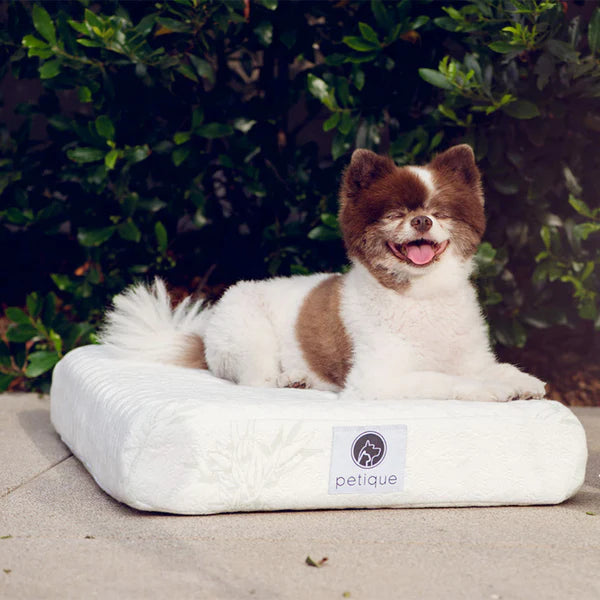 Petique Bamboo Orthopedic Memory Foam Pet Bed