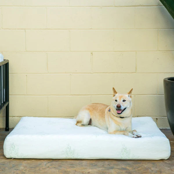 Petique Bamboo Orthopedic Memory Foam Pet Bed