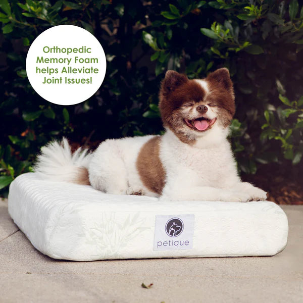 Petique Bamboo Orthopedic Memory Foam Pet Bed