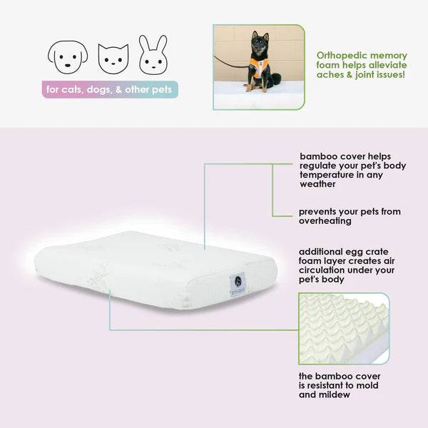 Petique Bamboo Orthopedic Memory Foam Pet Bed