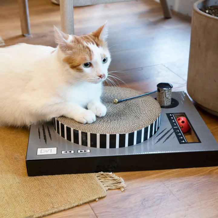 DJ Turntable Cat Scratcher
