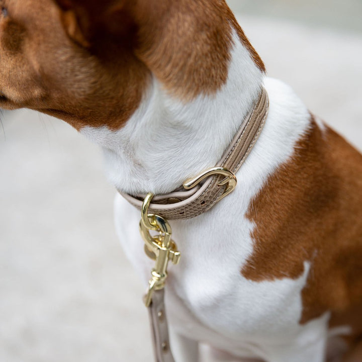 Collar - Vegan Leather