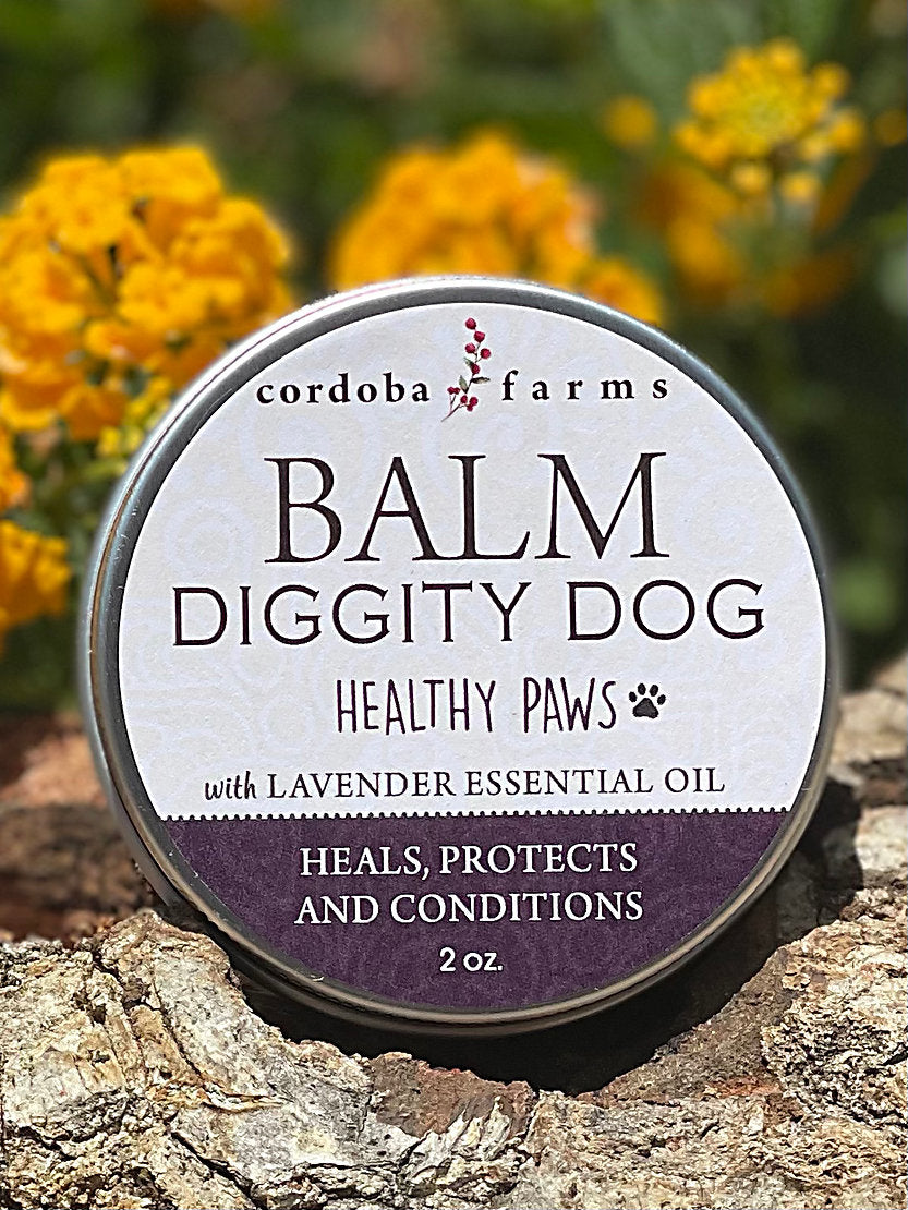 Healthy Paws Balm for Noses, Paws & Elbows