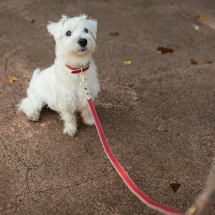 Leash 4ft - Vegan Leather