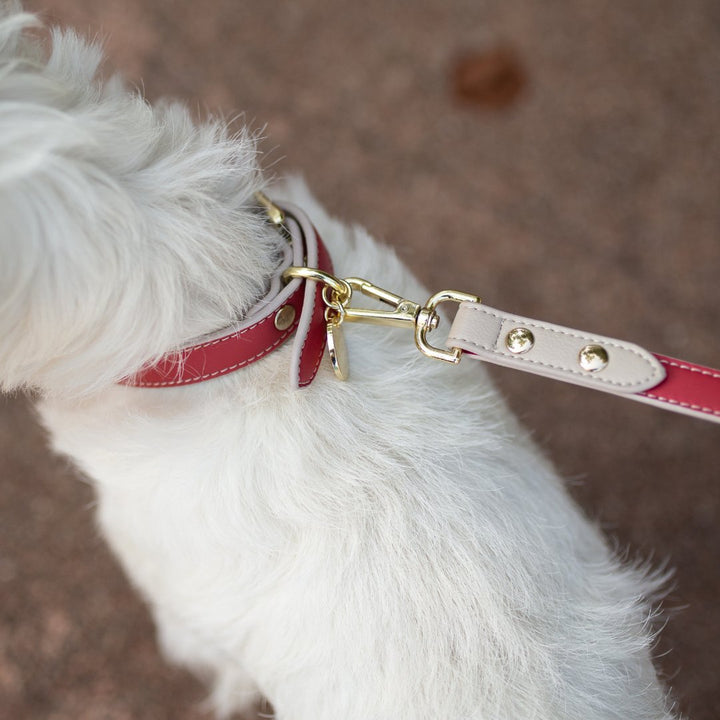 Leash 4ft - Vegan Leather