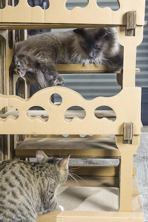 Feline Chateau Eco Multi-Level Cat House